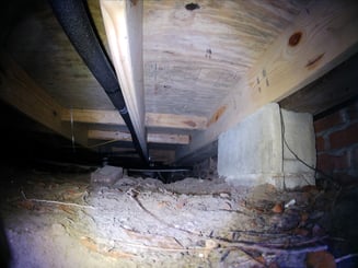 Runcam6_0002